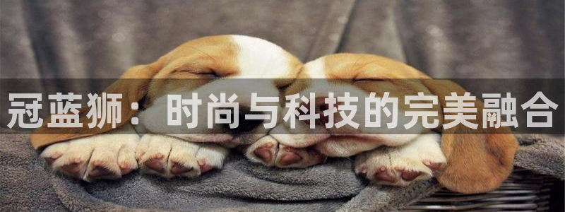 贵州聚彩光显科技有限公司