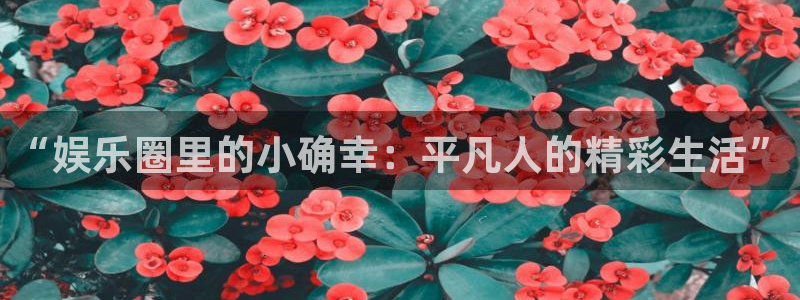 深圳市联合聚彩光电科技有限公司