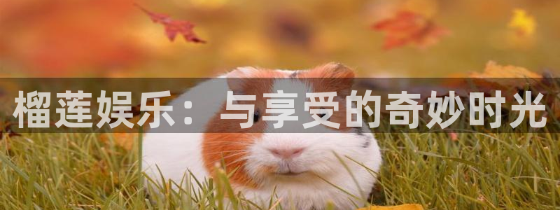 聚彩官方下载最新版