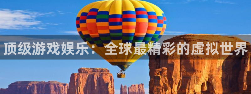 聚彩公司