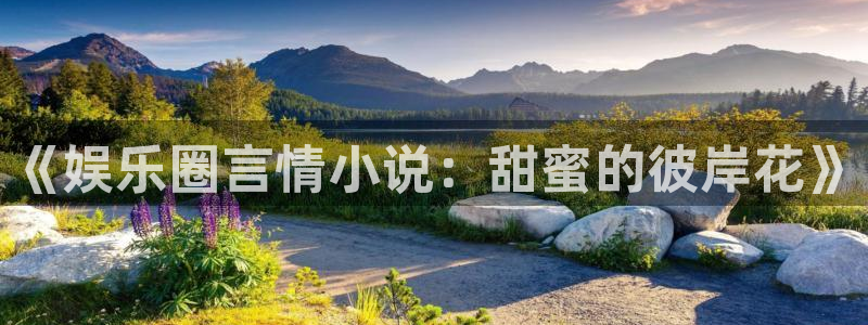 聚彩资料