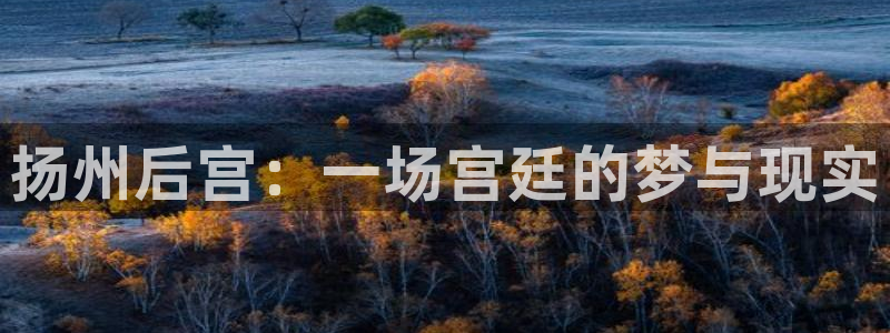 聚彩app官方正版