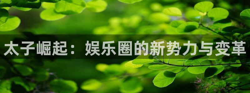 深圳市中恒聚彩光电有限公司：太子崛起：娱乐圈的新势力与变革