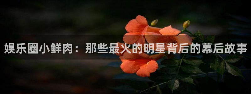 3217.vip聚彩app下载：娱乐圈小鲜肉：那些最火的明星背后的幕后故事
