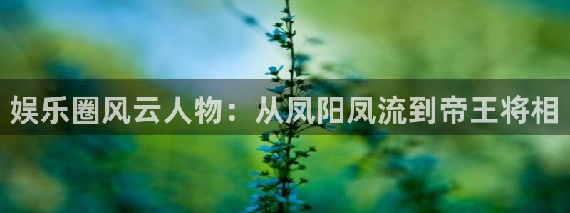 聚彩官方正版官网：娱乐圈风云人物：从凤阳凤流到帝王将相