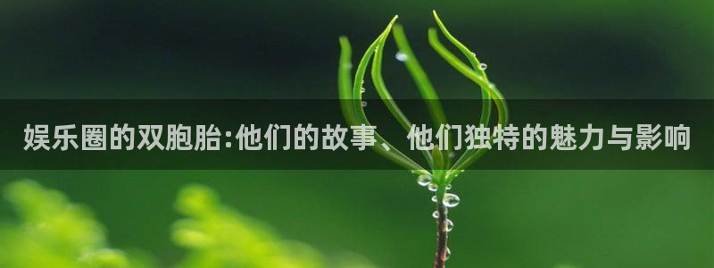 新南聚彩荟购物中心：娱乐圈的双胞胎:他们的故事、他们独特的魅力与影响