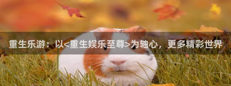 新疆强力聚彩电子科技有限公司：重生乐游：以<重生娱乐至尊>为轴心，更多精彩世界