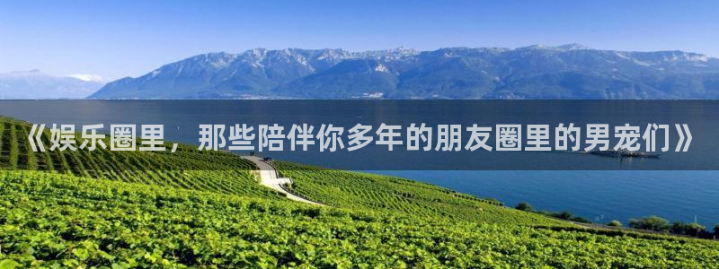 聚彩公司怎么样：《娱乐圈里，那些陪伴你多年的朋友圈里的男宠们》