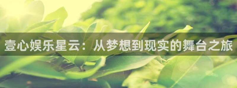 聚彩堂0149955网页版游戏特色：壹心娱乐星云：从梦想到现实的舞台之旅