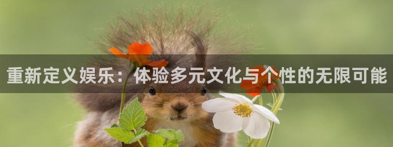 聚彩购彩welcome：重新定义娱乐：体验多元文化与个性的无限可能