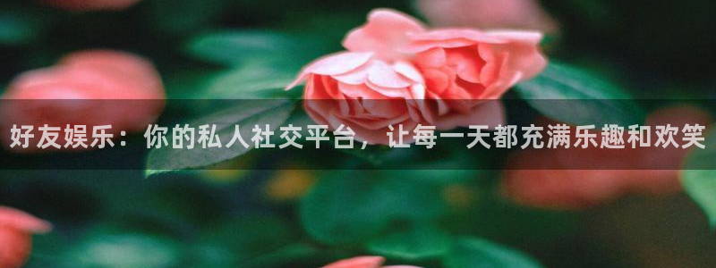 精聚彩研画材有限公司：好友娱乐：你的私人社交平台，让每一天都充满乐趣和欢笑